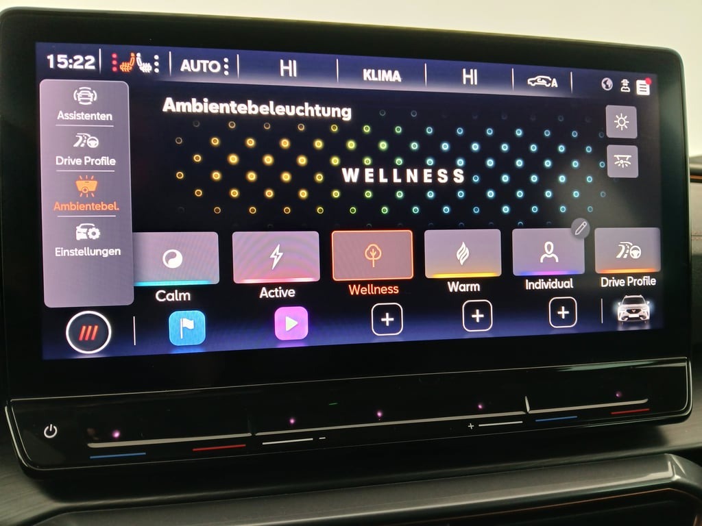 Cupra Formentor 1.5 TSI | Bild 24 von 29