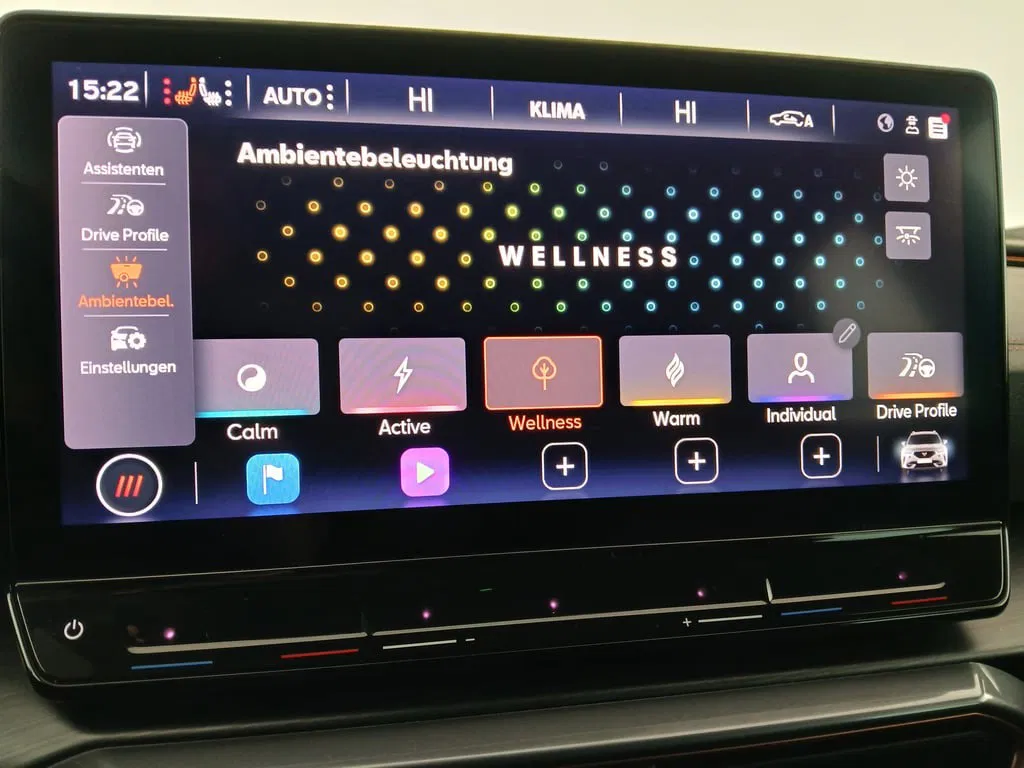 Cupra Formentor 1.5 TSI | Bild 24 von 29