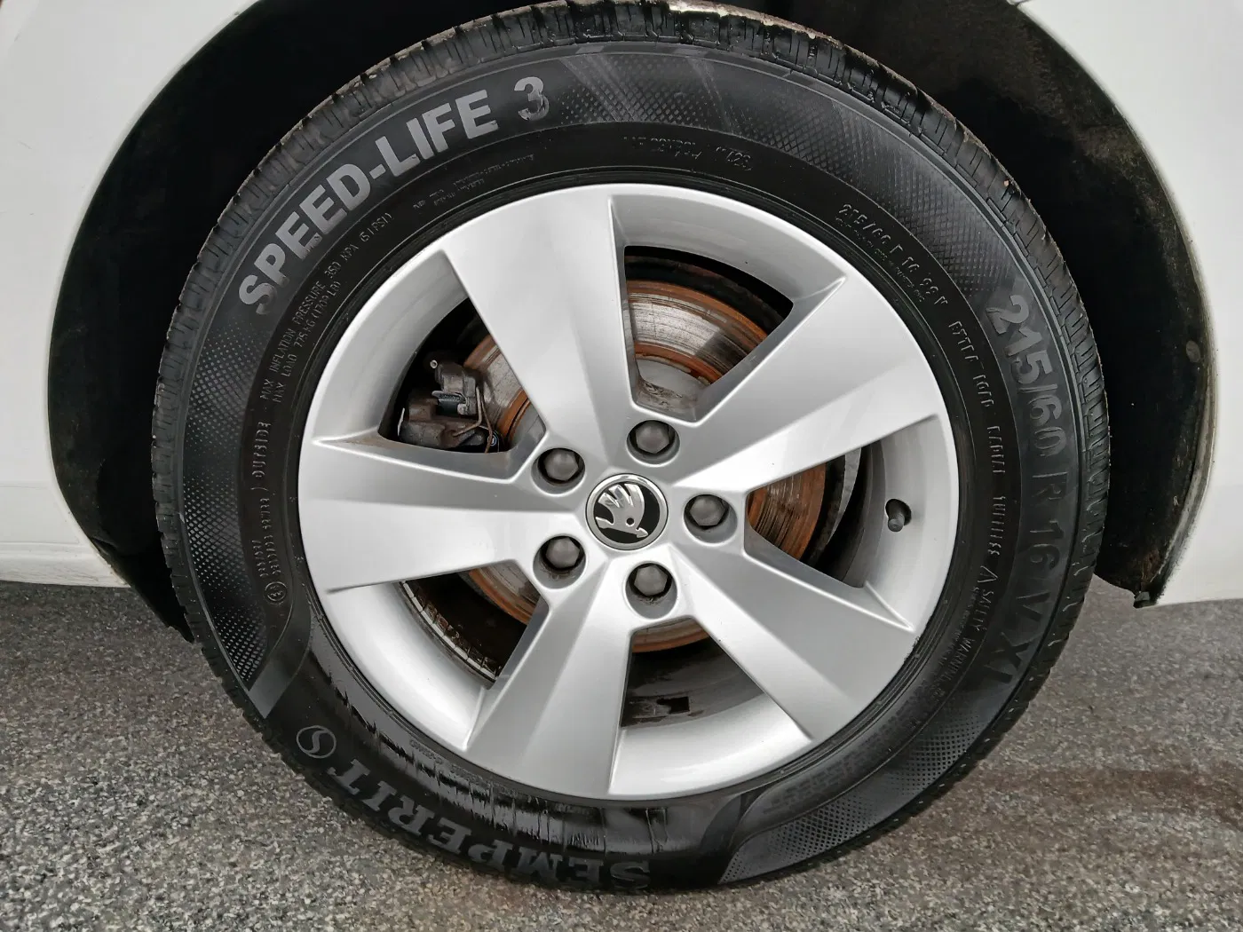 Skoda Superb Combi 2.0 TDI Ambition | Bild 10 von 30