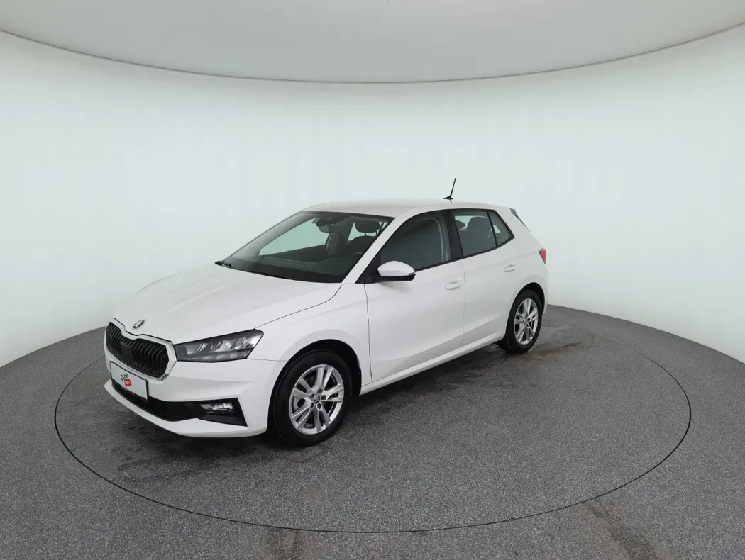Bild eines Skoda Fabia 1.0 TSI Selection
