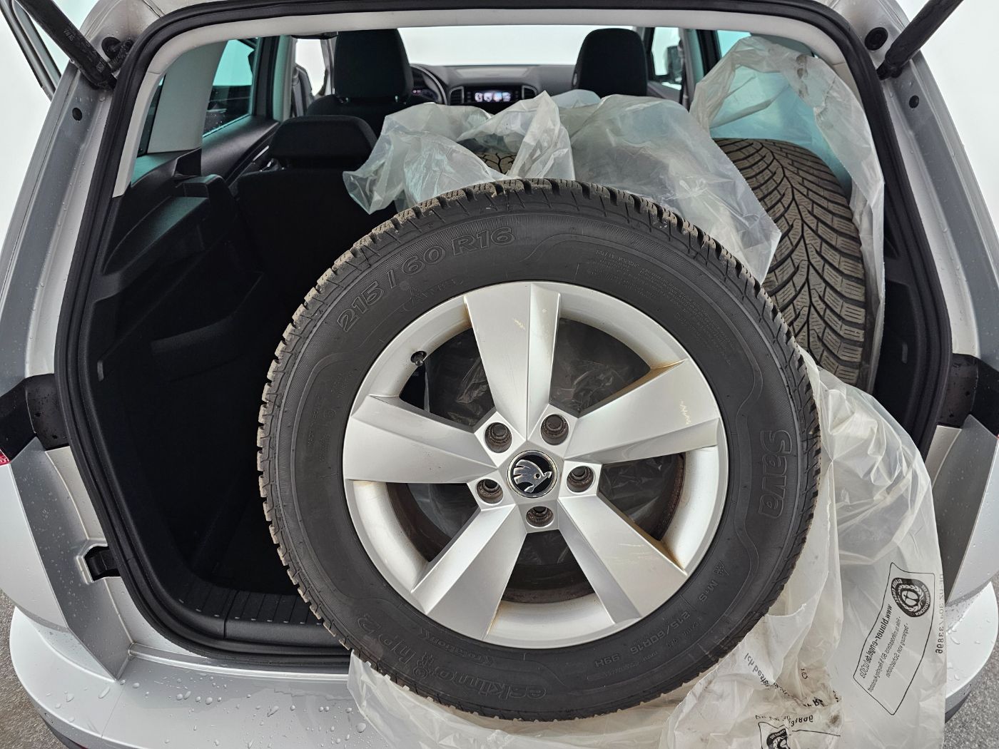 Skoda Karoq 2.0TDI Style DSG | Bild 25 von 28