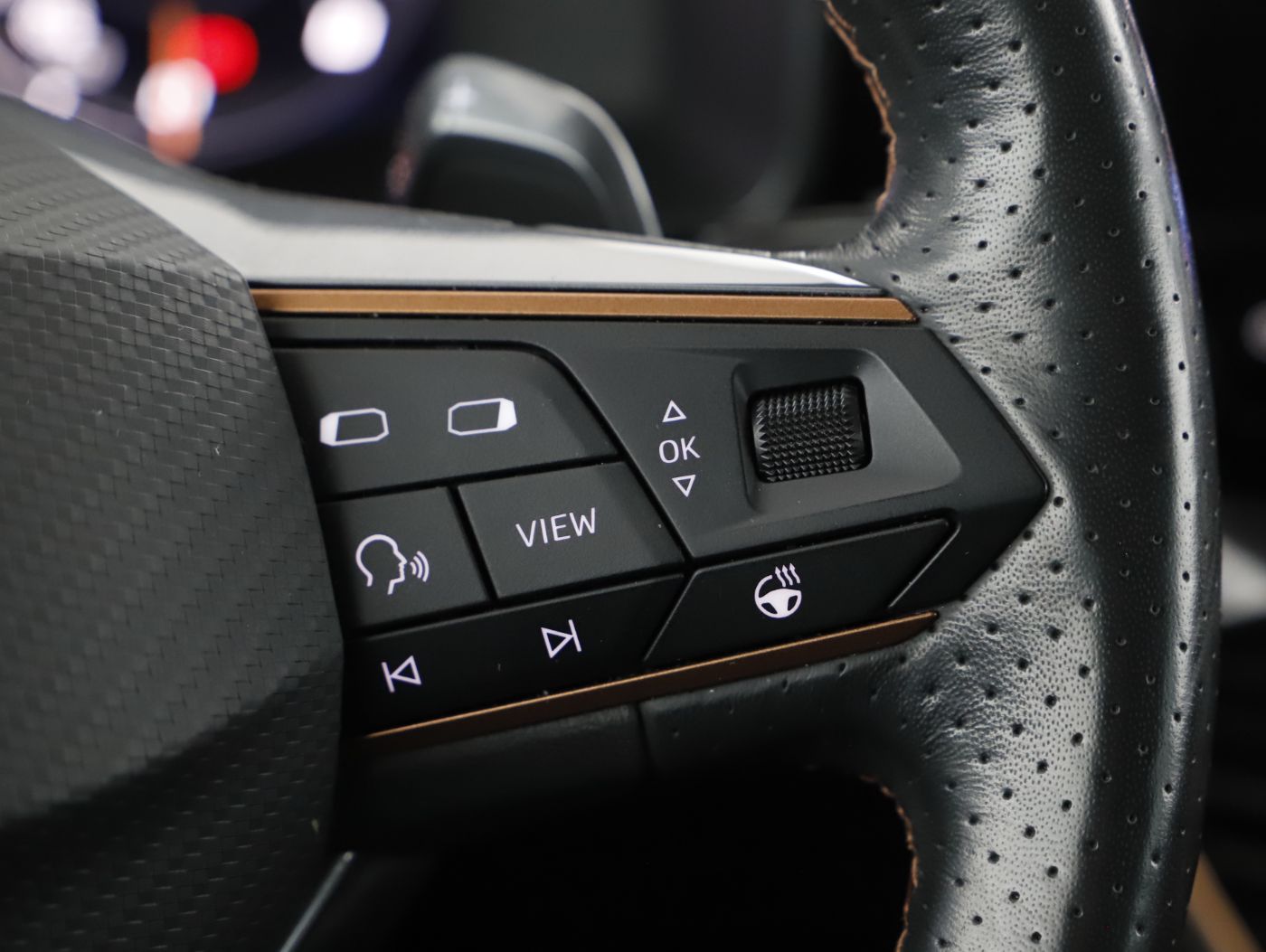 Cupra Formentor 2.0 TDI 4Drive DSG | Bild 16 von 22