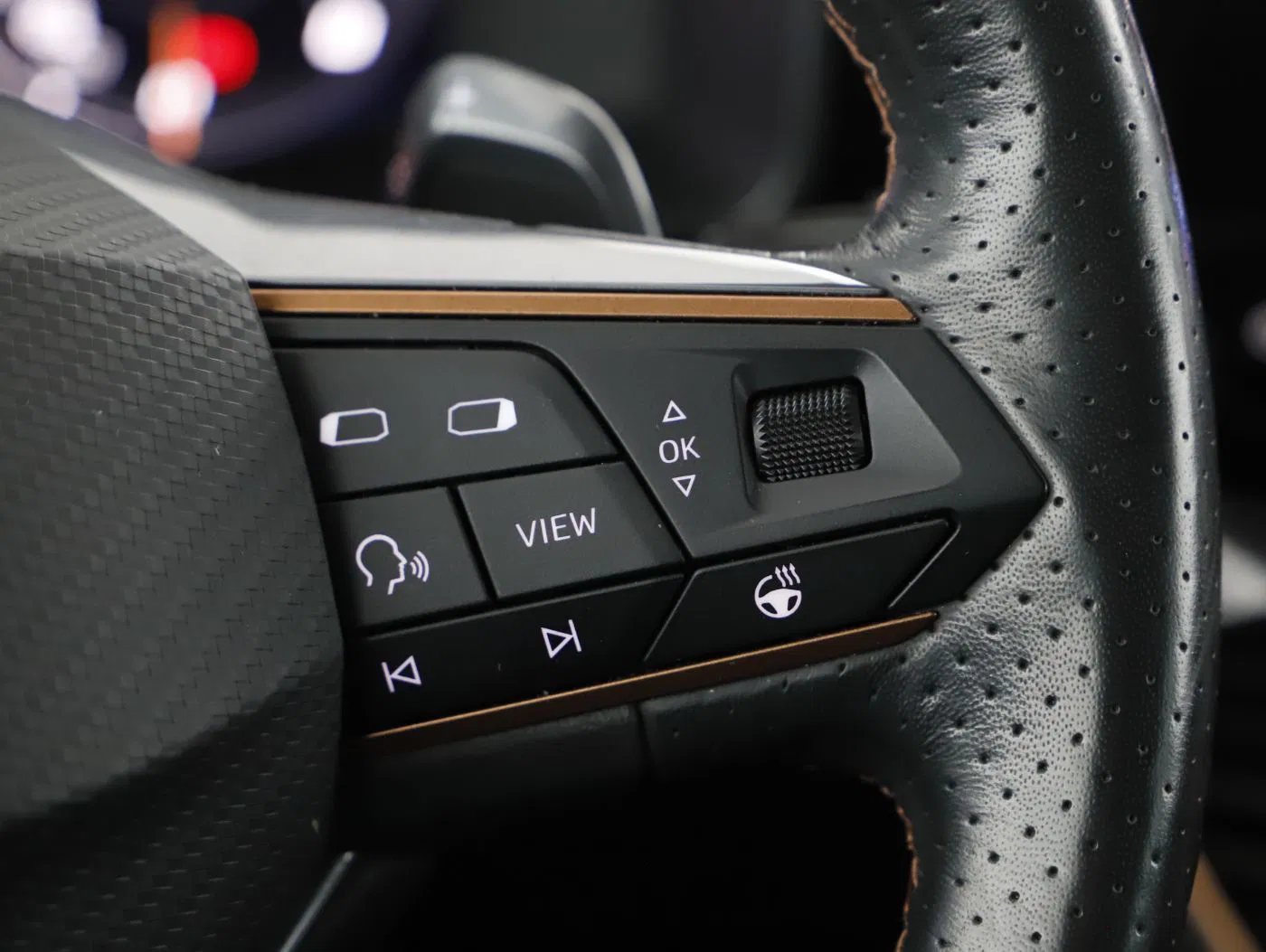 Cupra Formentor 2.0 TDI 4Drive DSG | Bild 16 von 22