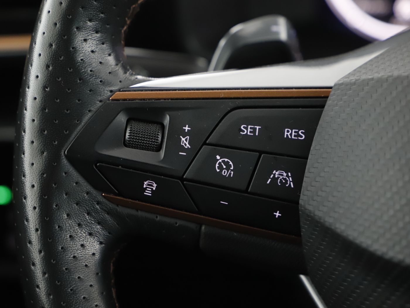 Cupra Formentor 2.0 TDI 4Drive DSG | Bild 14 von 22
