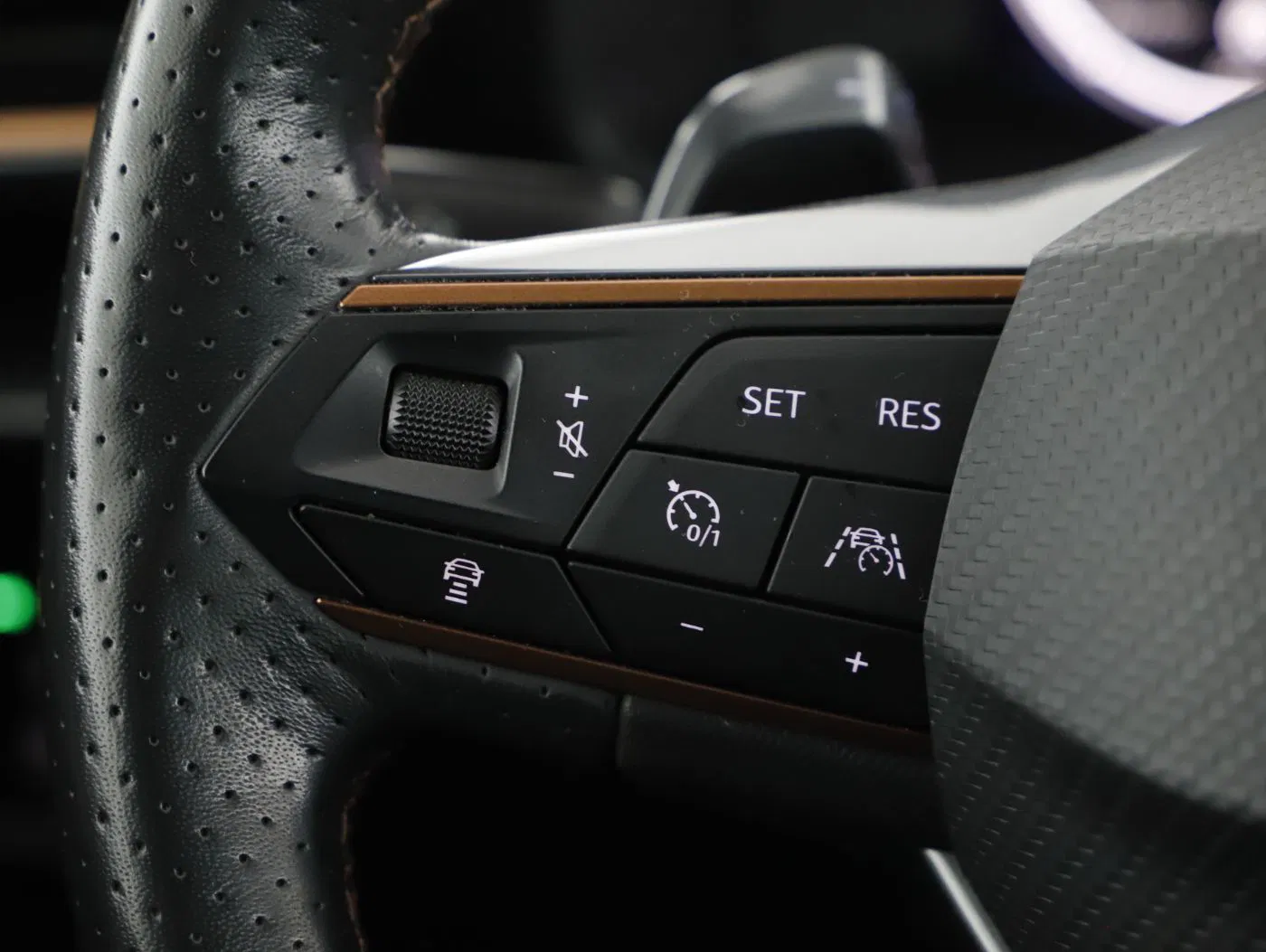 Cupra Formentor 2.0 TDI 4Drive DSG | Bild 14 von 22