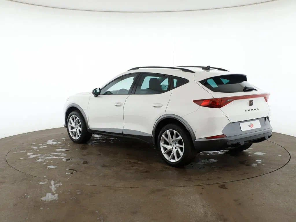 Cupra Formentor 2.0 TDI 4Drive | Bild 3 von 21