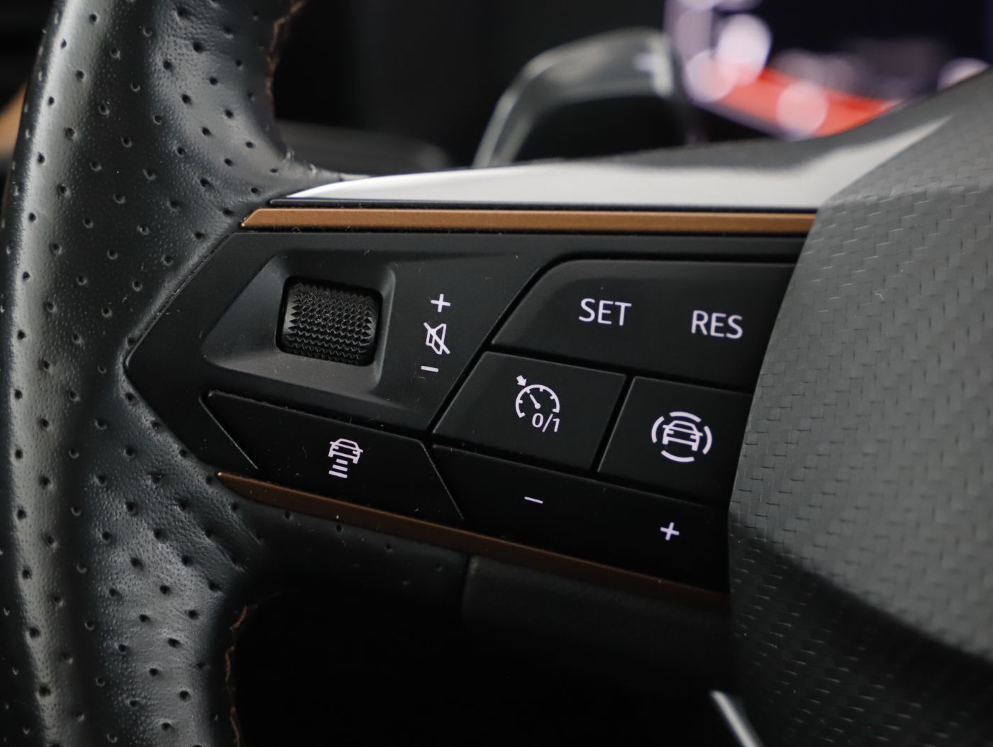 Cupra Formentor 2.0 TDI 4Drive | Bild 14 von 23