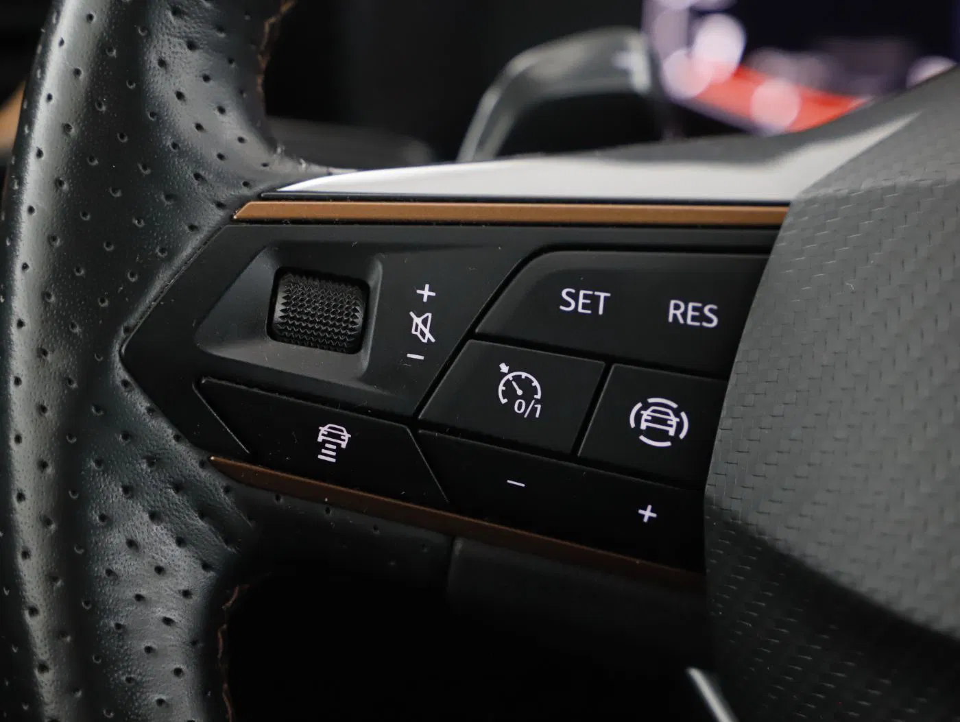 Cupra Formentor 2.0 TDI 4Drive | Bild 14 von 23