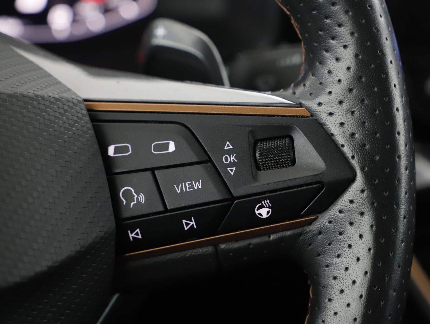 Cupra Formentor 2.0 TDI 4Drive | Bild 15 von 23