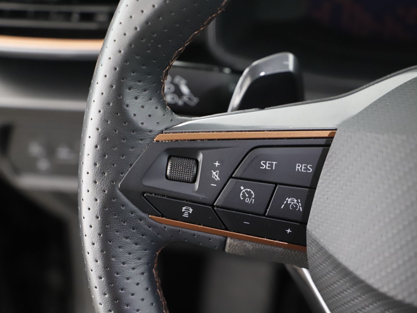 Cupra Formentor 2.0 TDI 4Drive | Bild 14 von 24