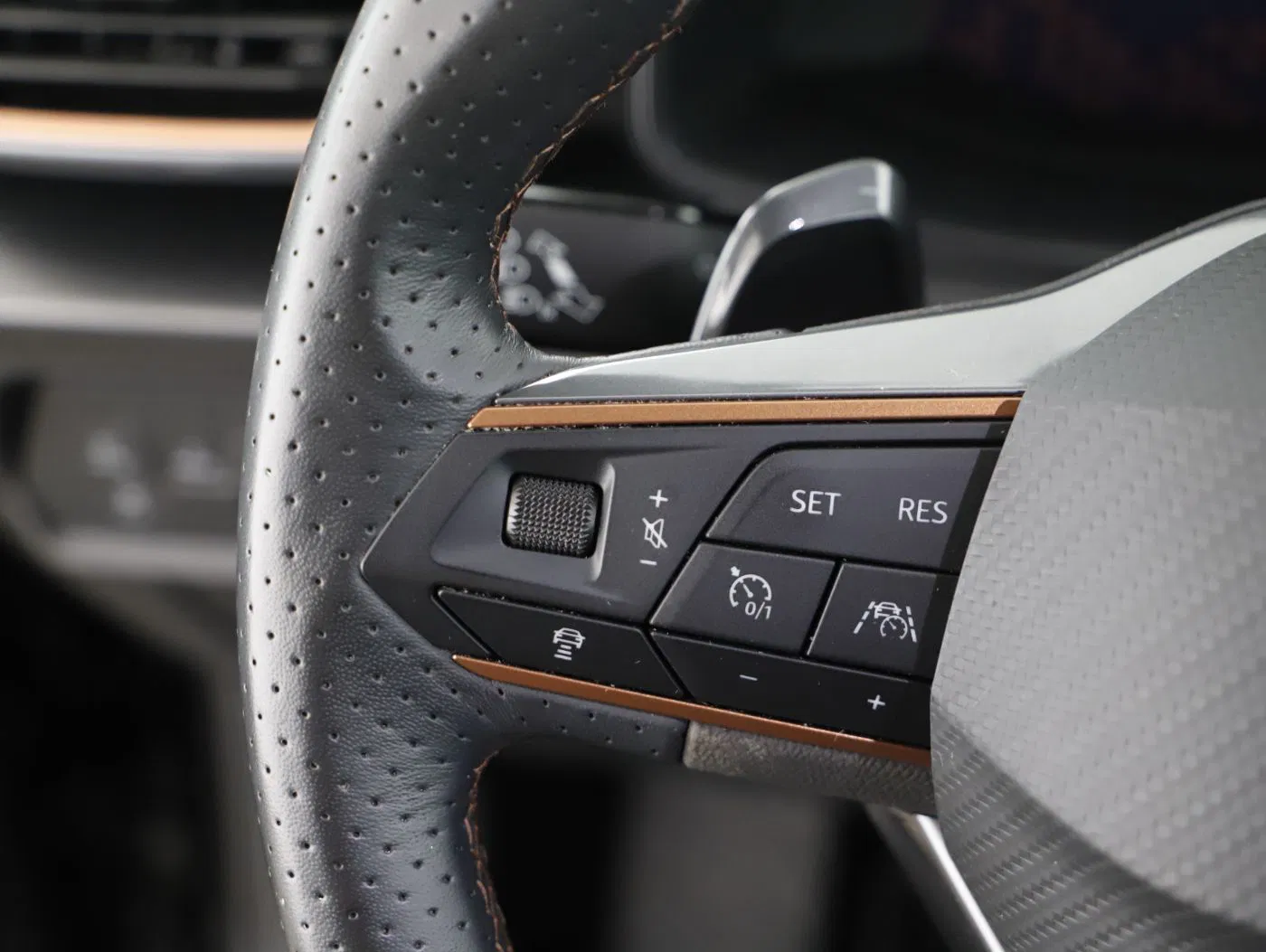 Cupra Formentor 2.0 TDI 4Drive | Bild 14 von 24
