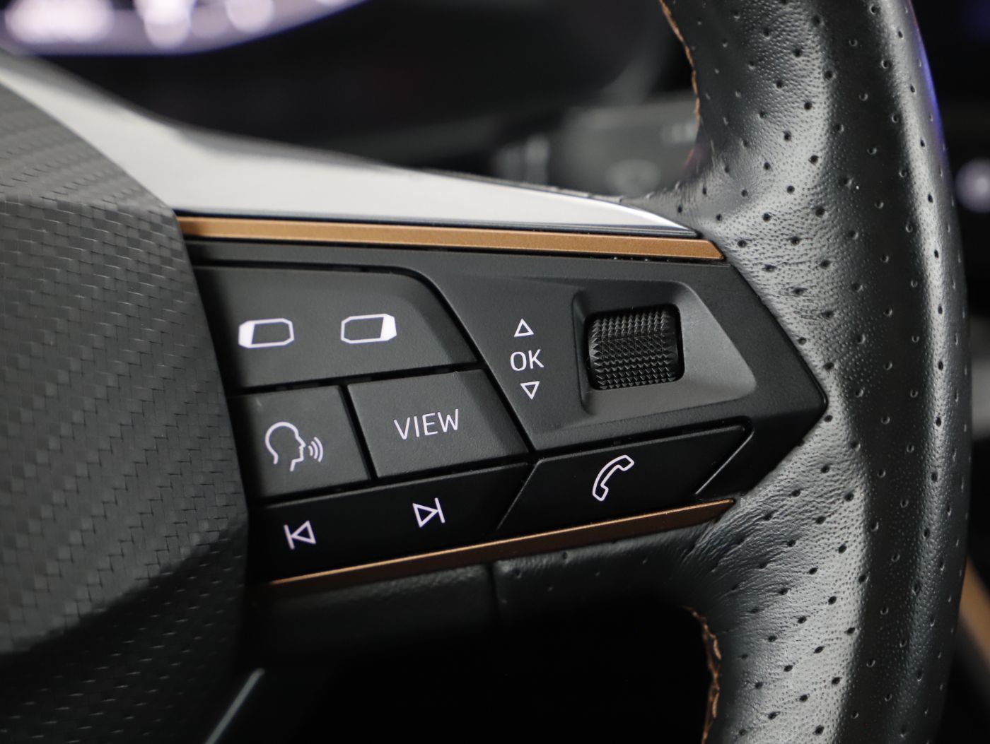 Cupra Formentor 2.0 TDI | Bild 15 von 22