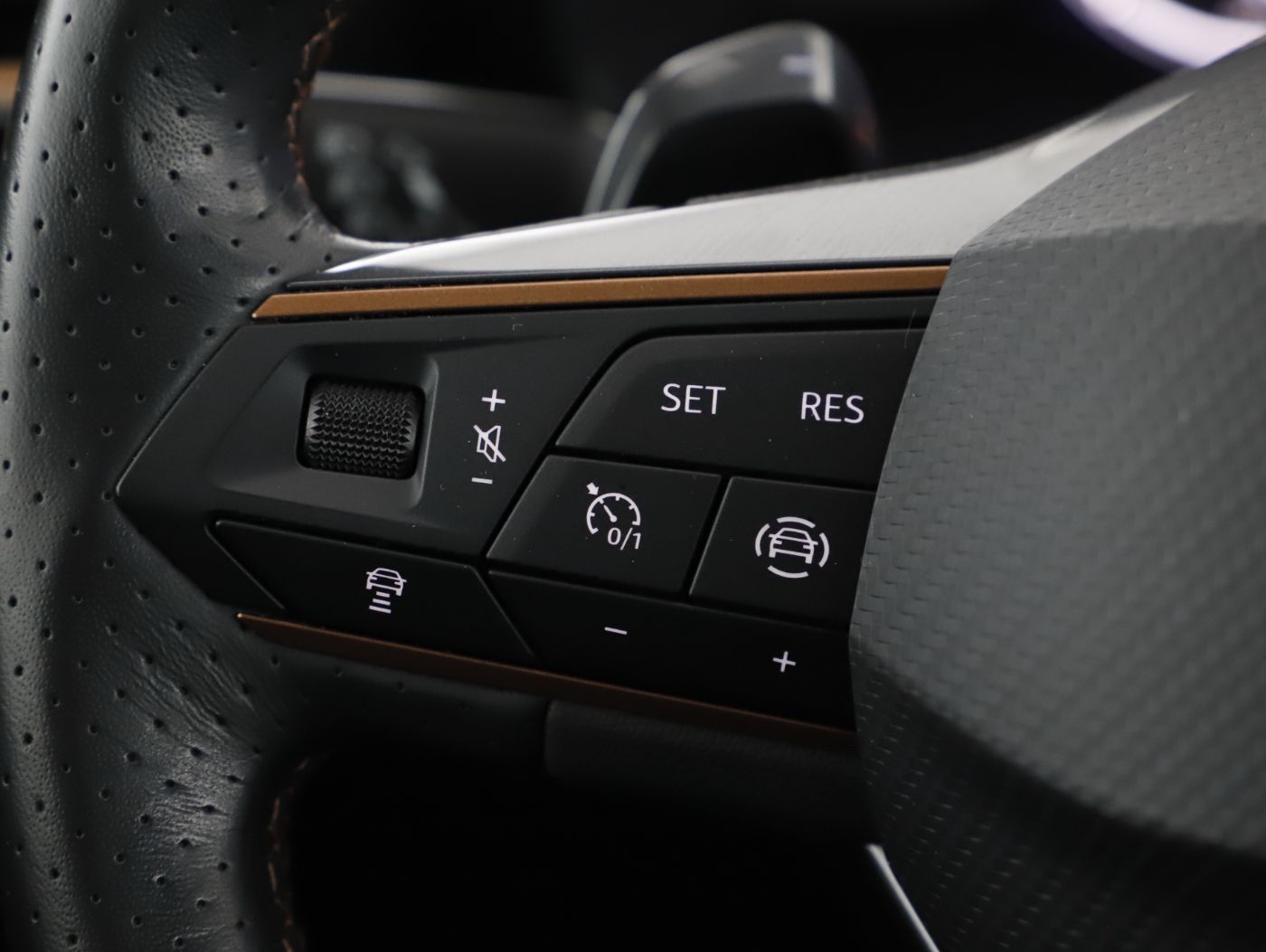 Cupra Formentor 2.0 TDI 4Drive | Bild 18 von 23