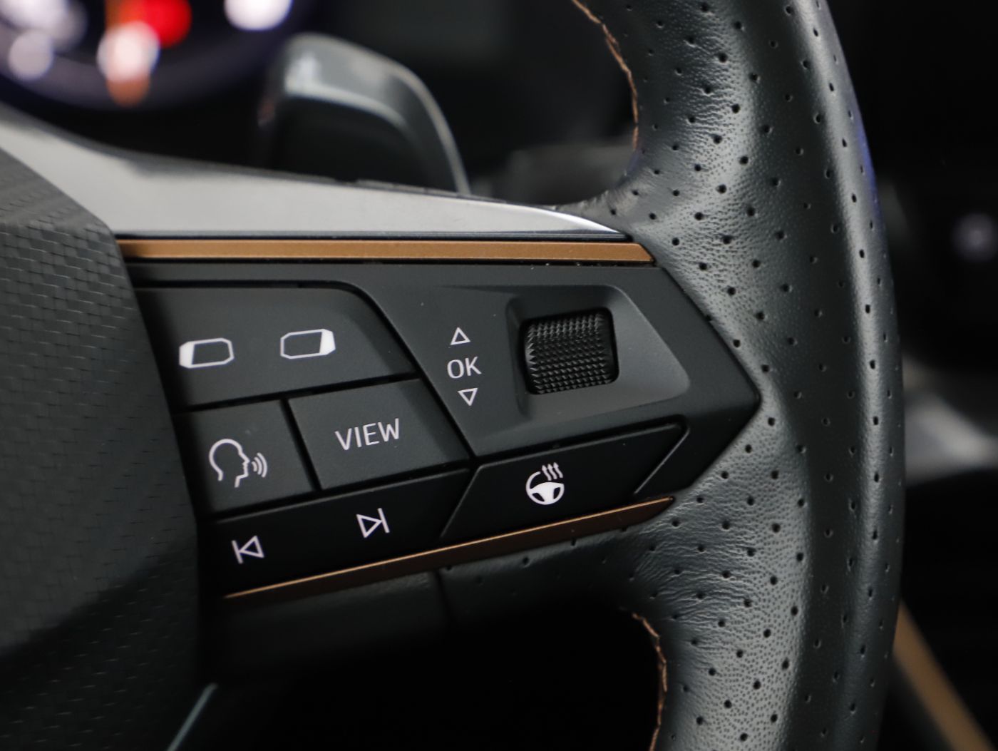 Cupra Formentor 2.0 TDI 4Drive | Bild 19 von 23