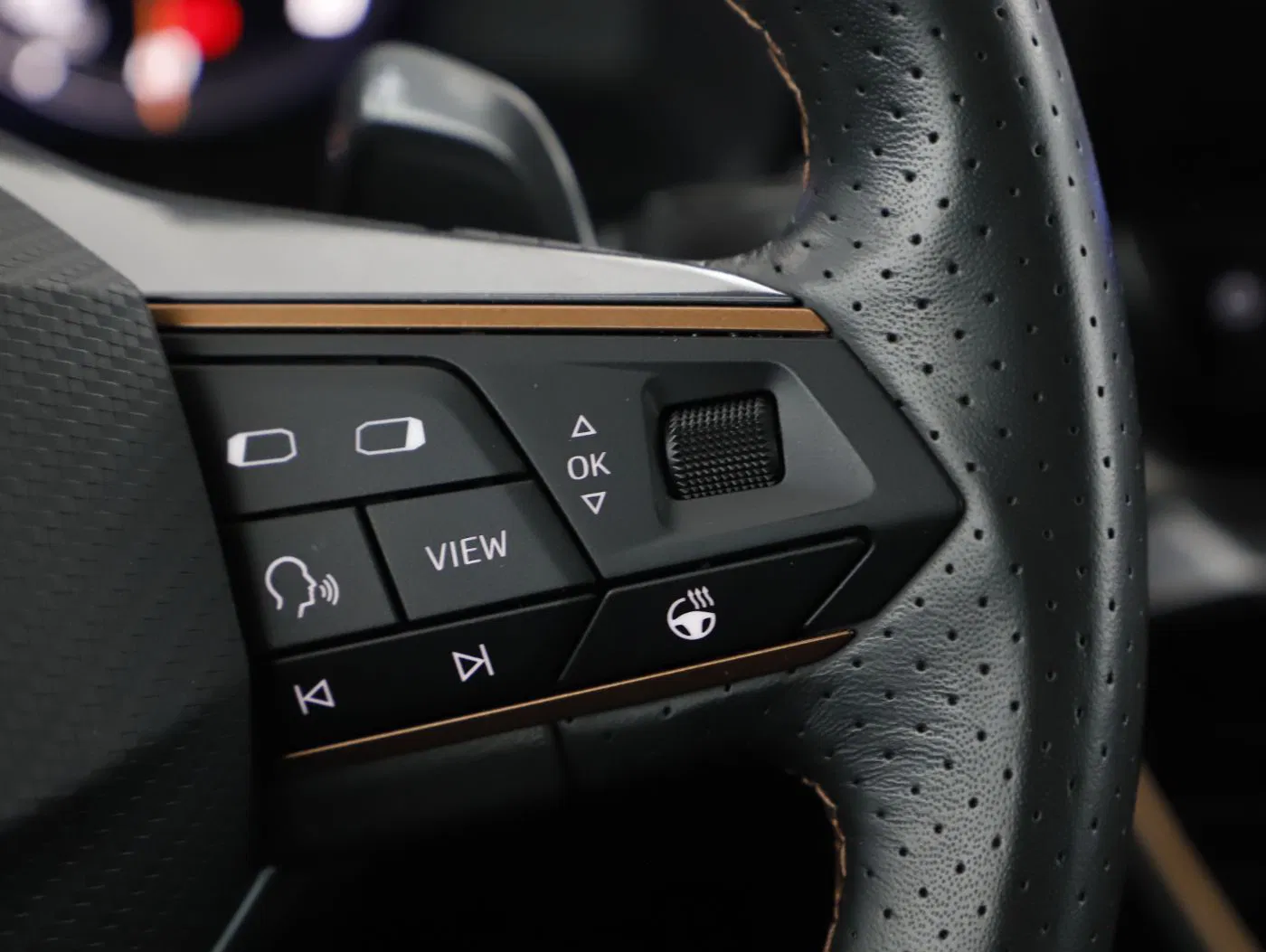 Cupra Formentor 2.0 TDI 4Drive | Bild 19 von 23