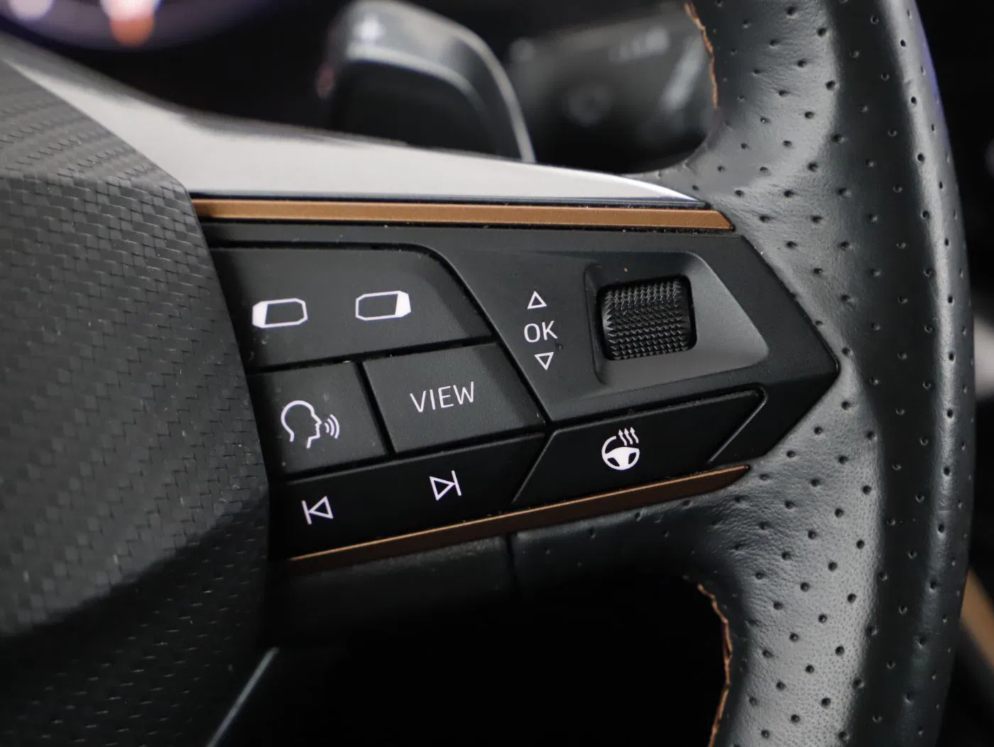 Cupra Formentor 2.0 TDI 4Drive | Bild 16 von 27