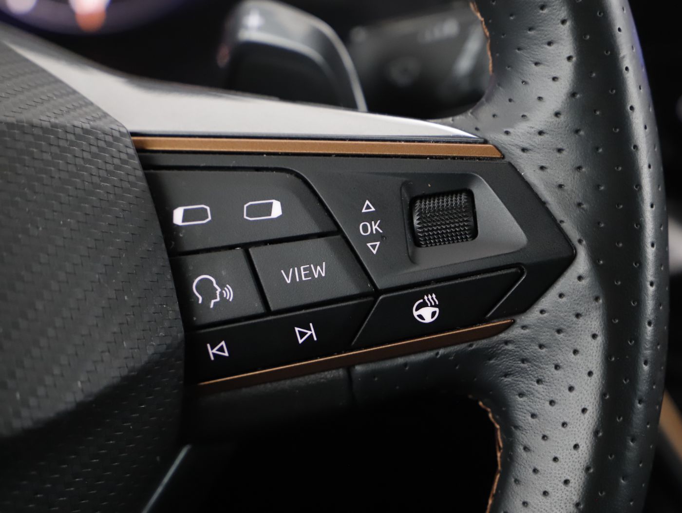 Cupra Formentor 2.0 TDI 4Drive | Bild 15 von 26