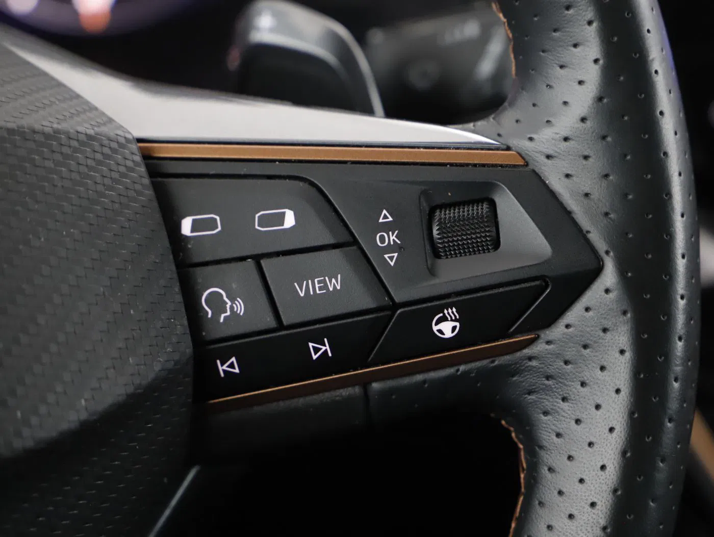 Cupra Formentor 2.0 TDI 4Drive | Bild 15 von 26