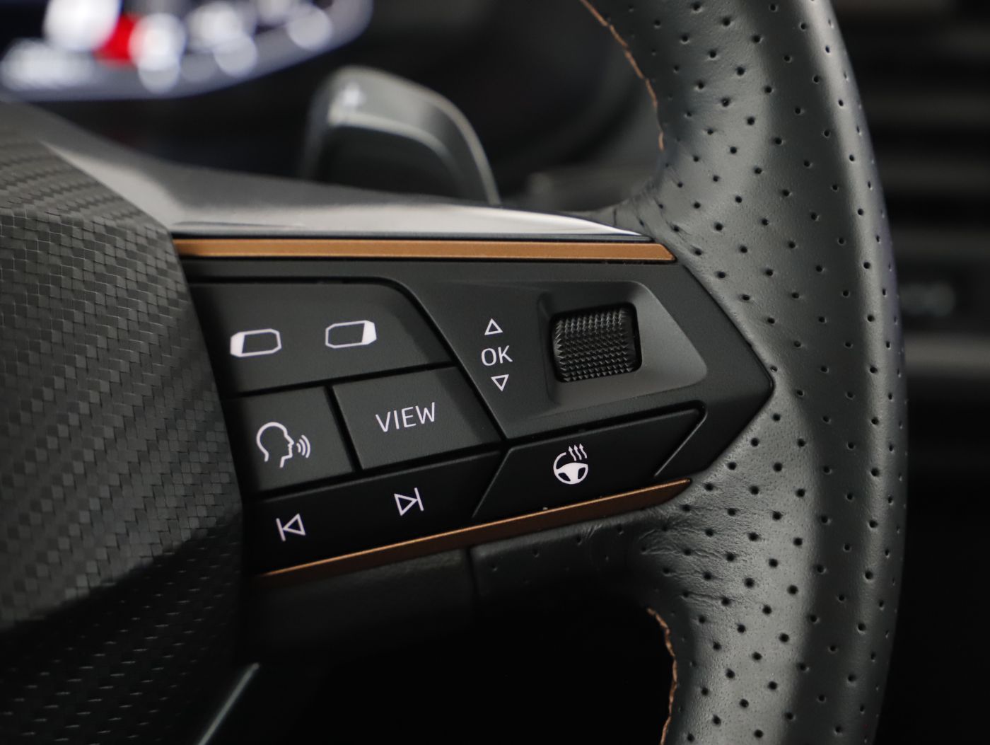 Cupra Ateca 1.5 TSI DSG | Bild 15 von 23