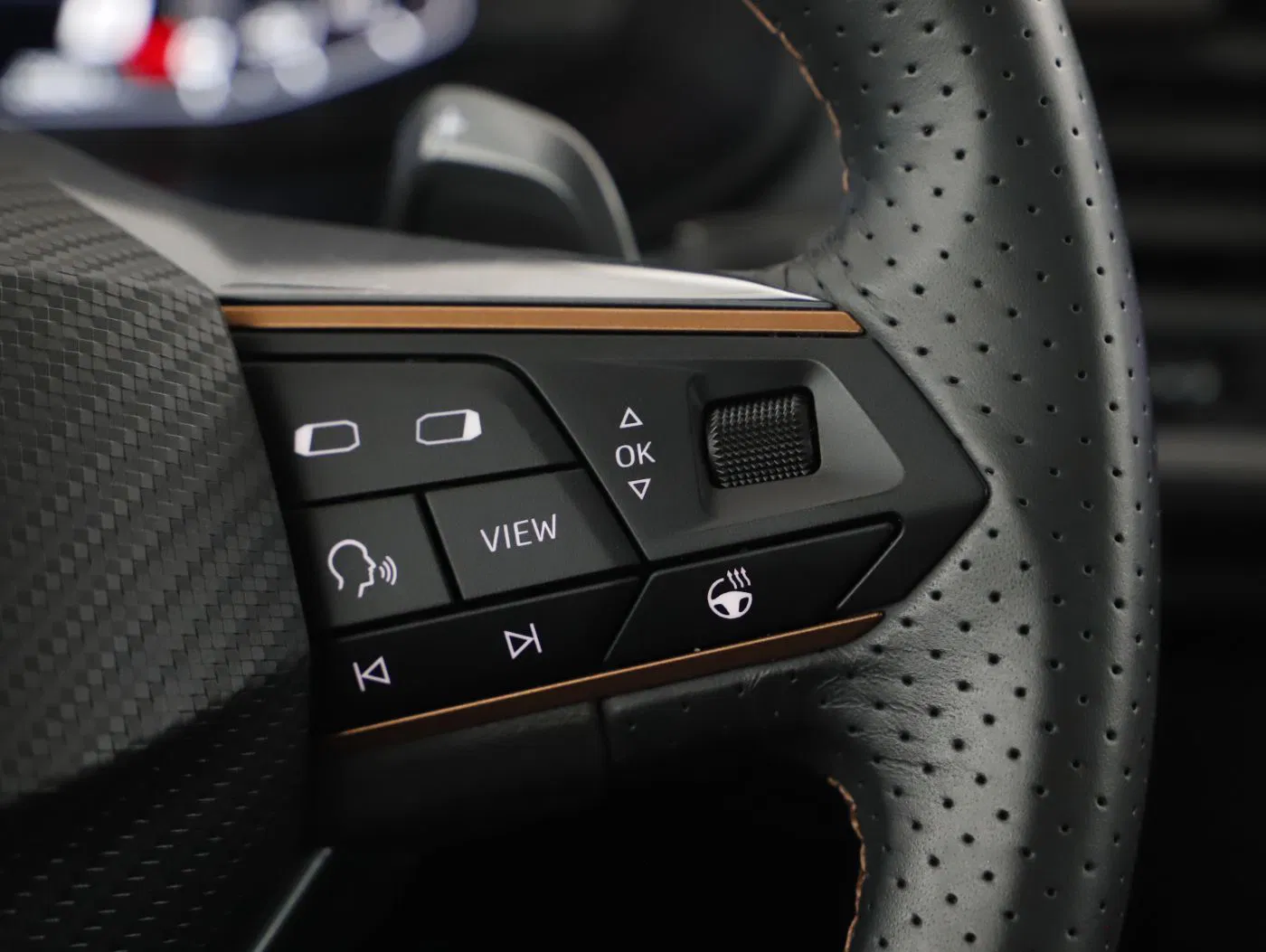 Cupra Ateca 1.5 TSI DSG | Bild 15 von 23
