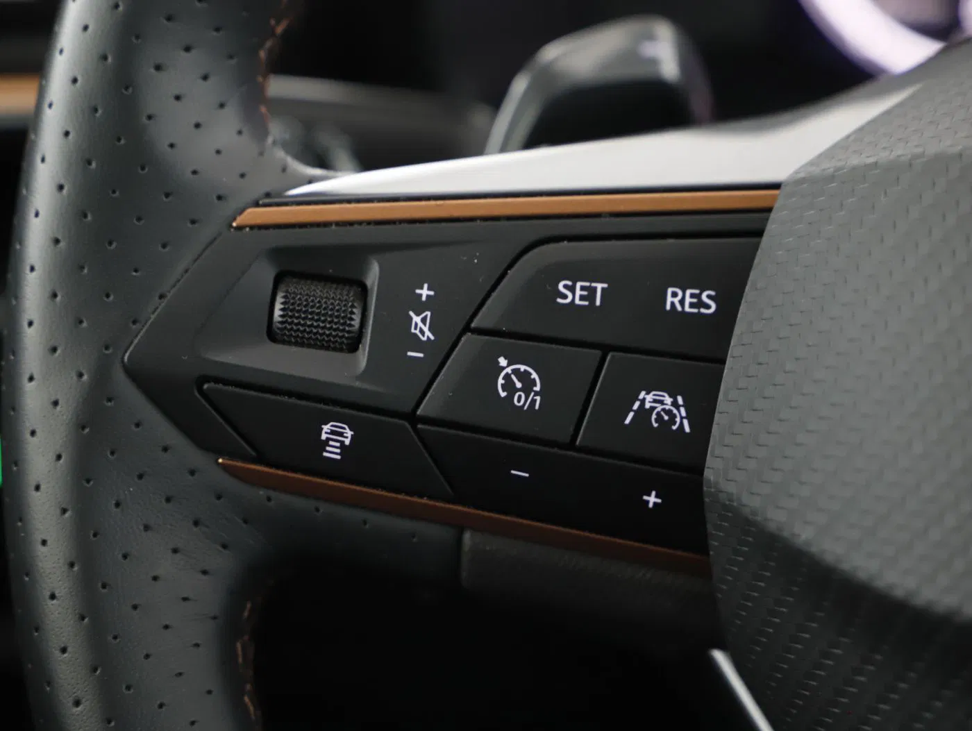 Cupra Formentor 2.0 TDI 4Drive | Bild 14 von 25