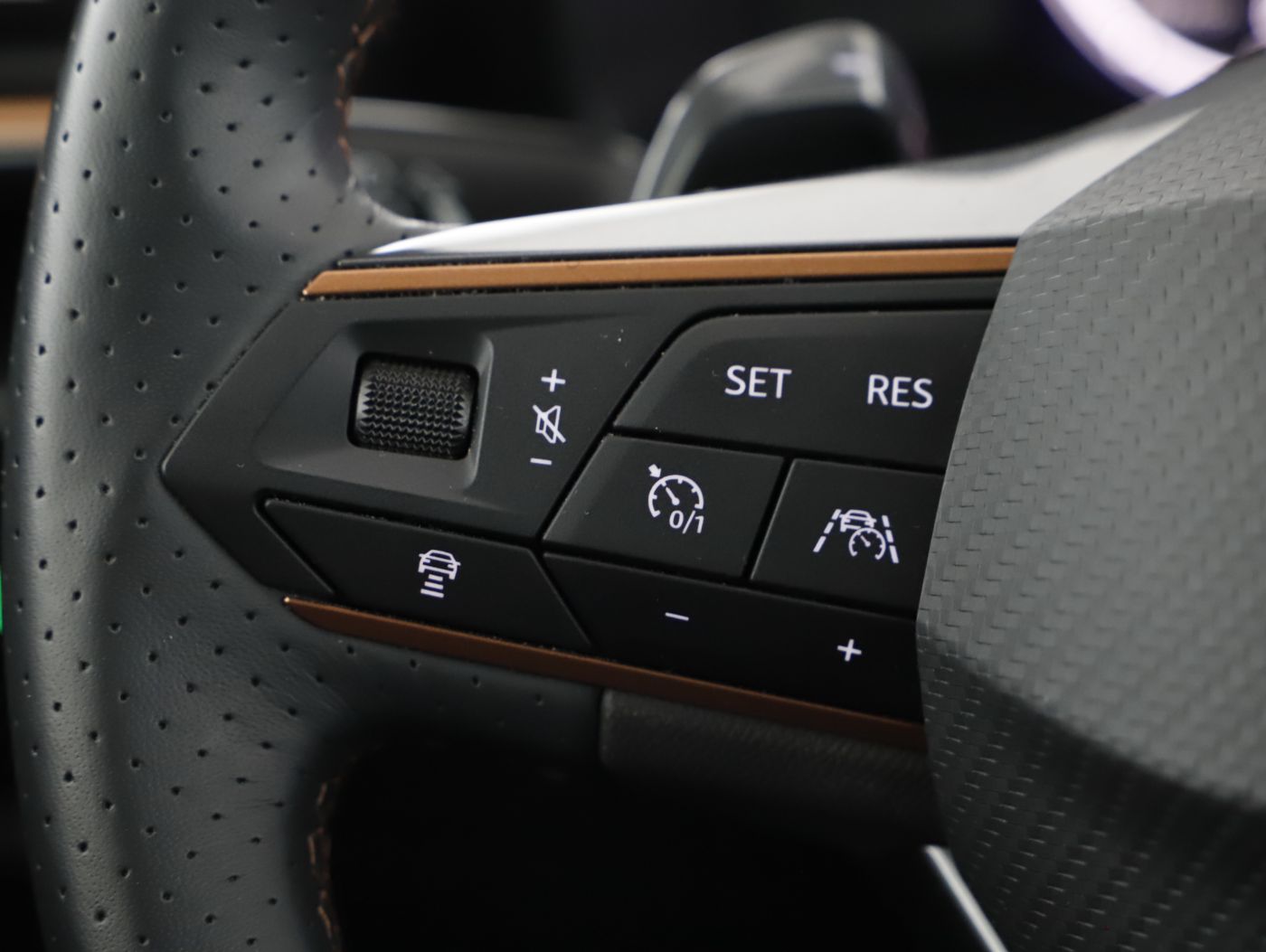 Cupra Formentor 2.0 TDI 4Drive | Bild 13 von 24