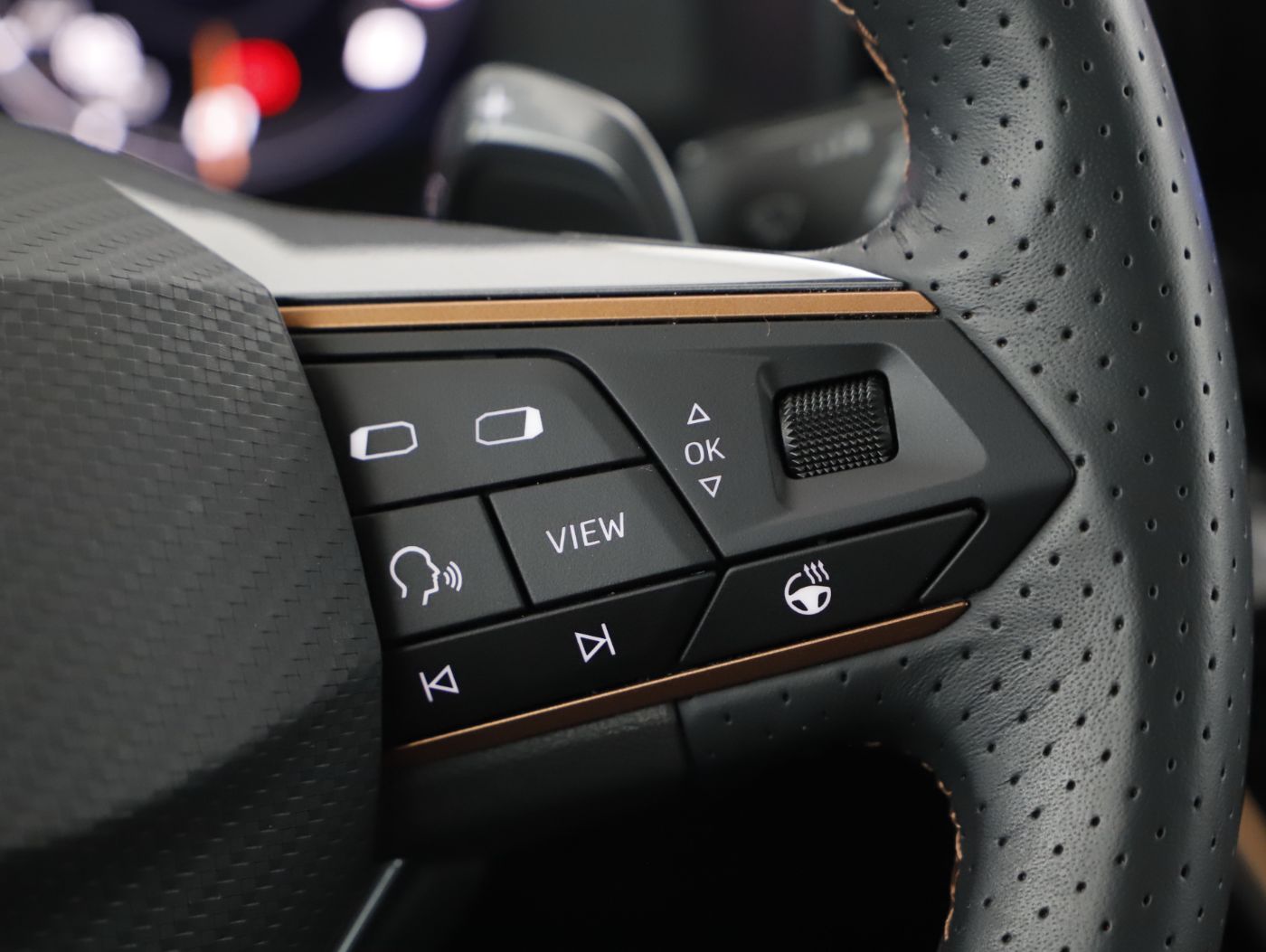 Cupra Formentor 2.0 TDI 4Drive | Bild 14 von 24
