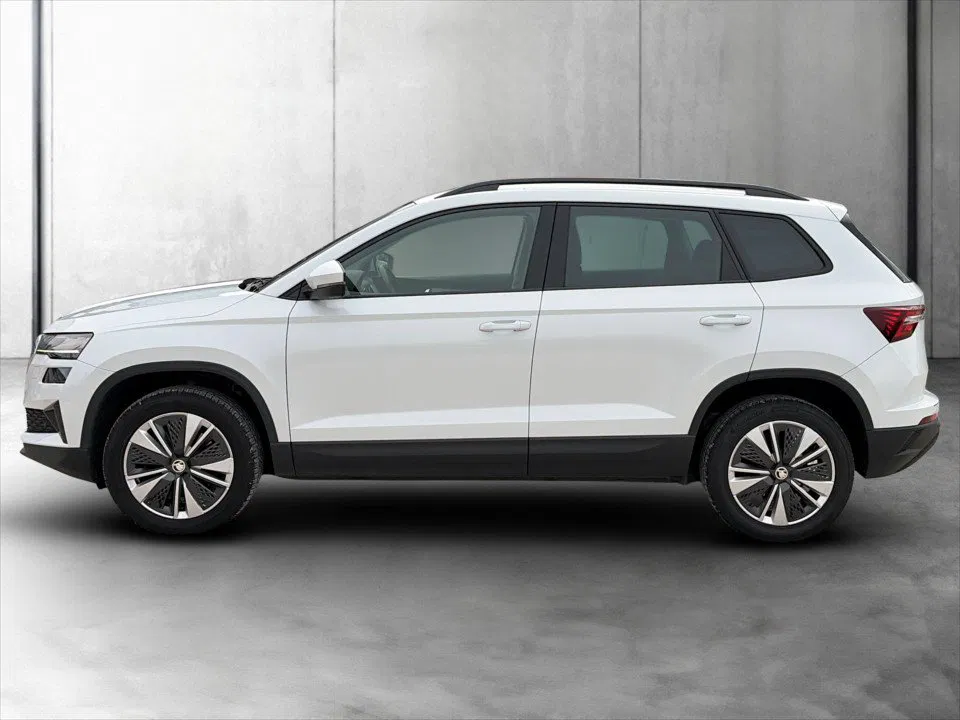 Skoda Karoq 2.0 TDI Ambition | Bild 3 von 23