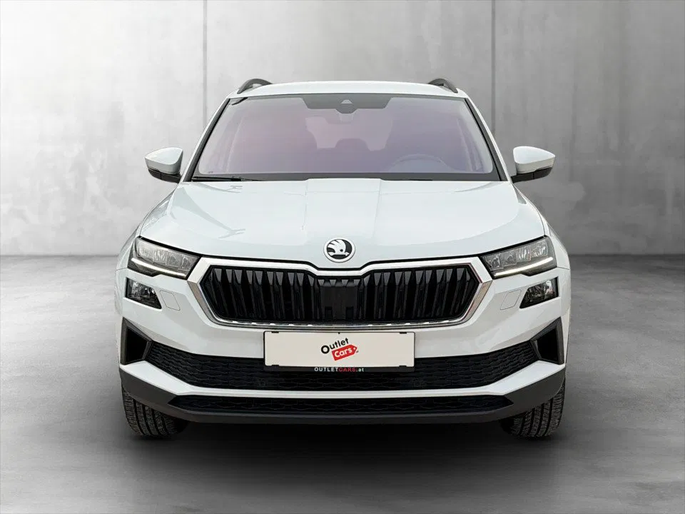 Skoda Karoq 2.0 TDI Ambition | Bild 5 von 23