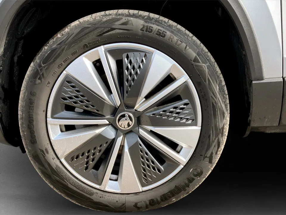 Skoda Karoq 2.0 TDI Amb. DSG | Bild 7 von 23