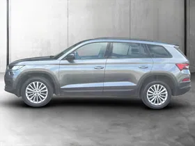 Skoda Kodiaq 2.0 TDI Amb. DSG | Thumbnail 3 von 23