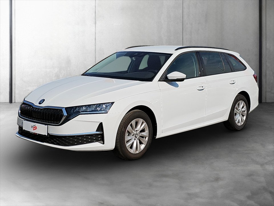 Bild eines Skoda Octavia Combi 2.0 TDI W Selection