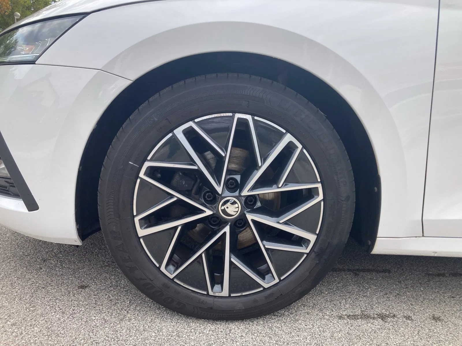 Skoda OCTAVIA Combi Ambition TDI | Bild 17 von 31