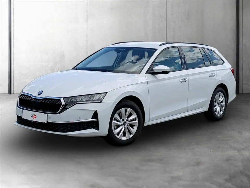 Bild eines Skoda Octavia Combi 1.5 TSI mHEV W Selection