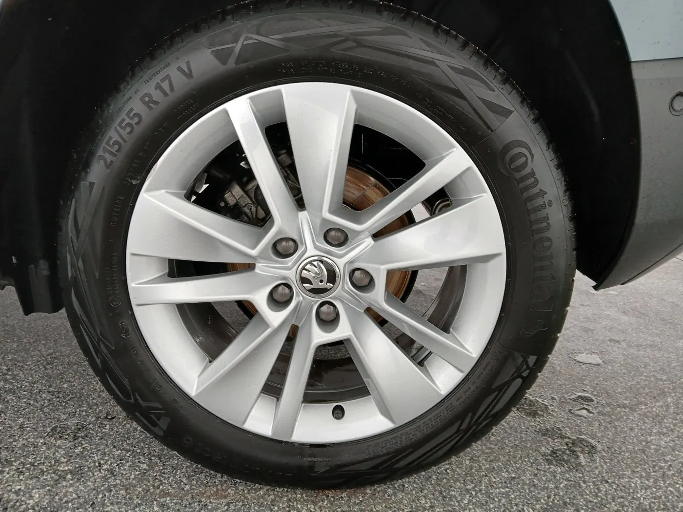 Skoda Karoq 1.5 TSI ACT Style 125 | Bild 9 von 30