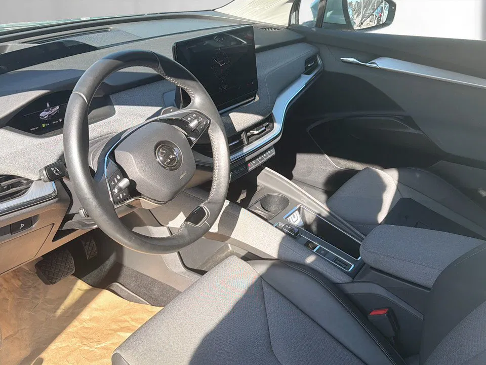 Skoda Enyaq iV 80 x Loft | Bild 8 von 20