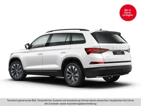 Skoda Kodiaq 2.0 TDI 4x4 Ambition SC | Thumbnail 9 von 9