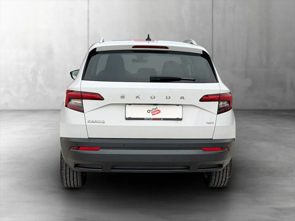 Skoda Karoq 2.0 TDI Style | Bild 5 von 6