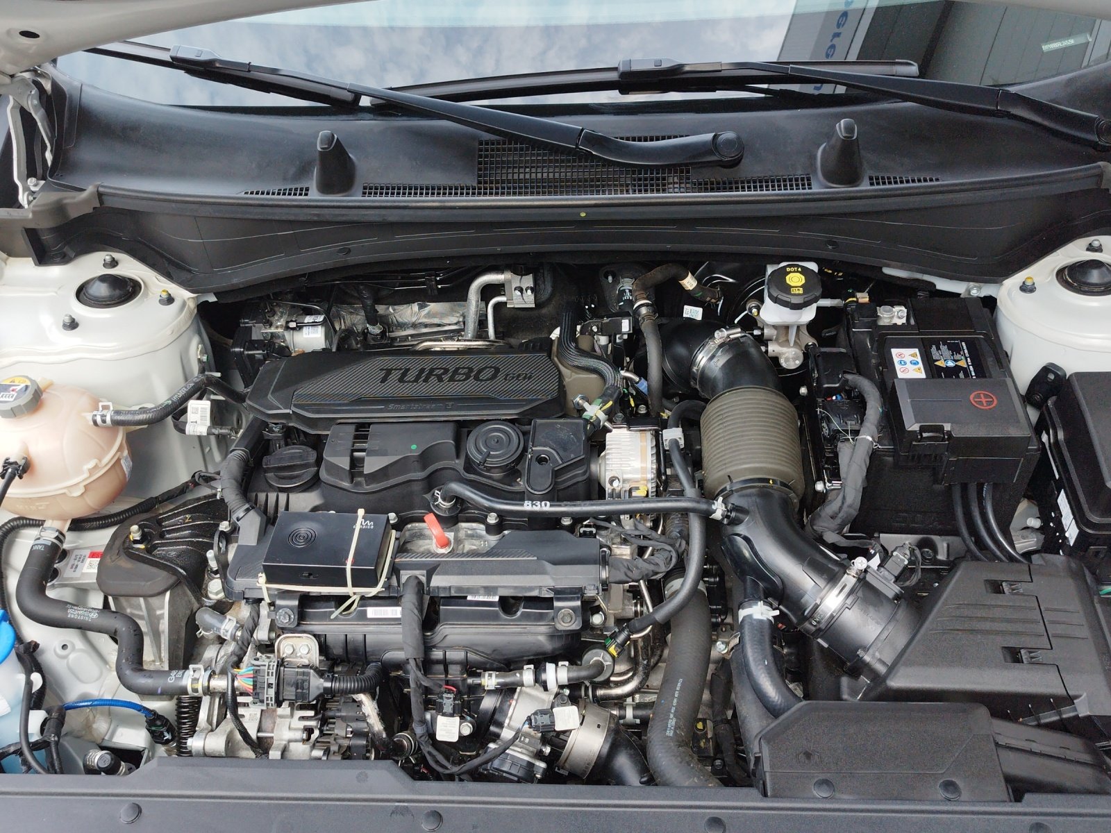 Kia Sportage 1,6 TGDI 48V GT-Line DCT | Bild 22 von 24