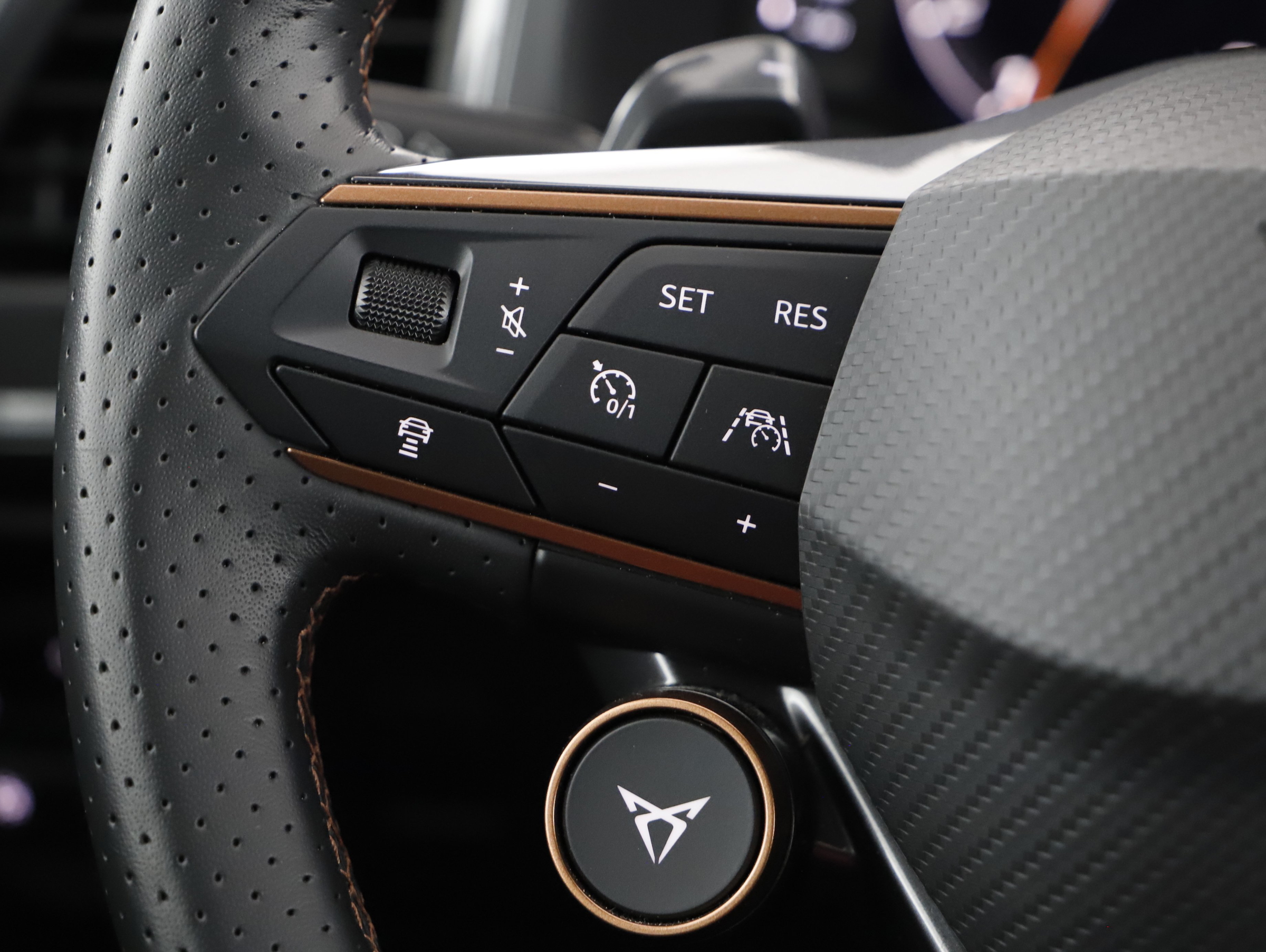 Cupra Ateca 2.0 TSI 4Drive | Bild 12 von 23