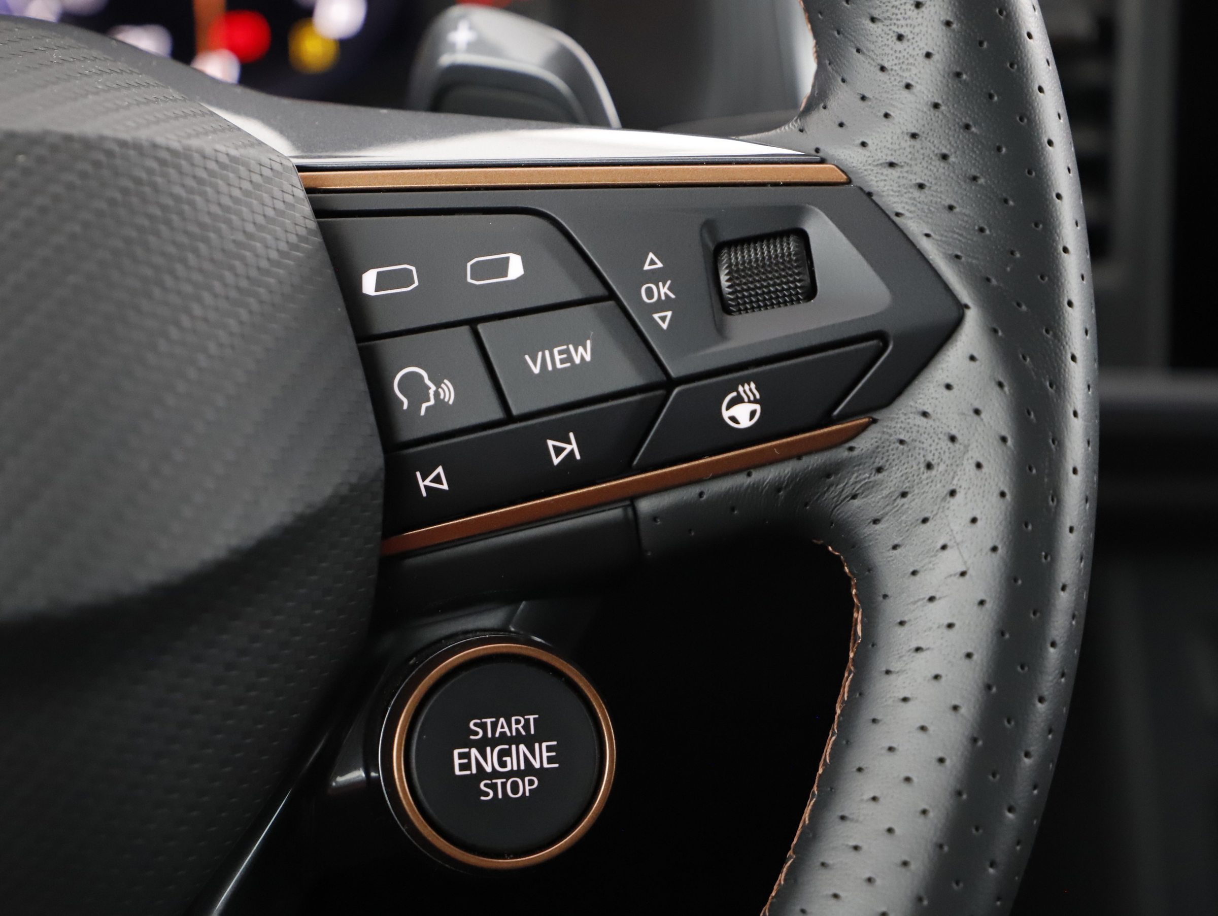 Cupra Ateca 2.0 TSI 4Drive | Bild 13 von 23