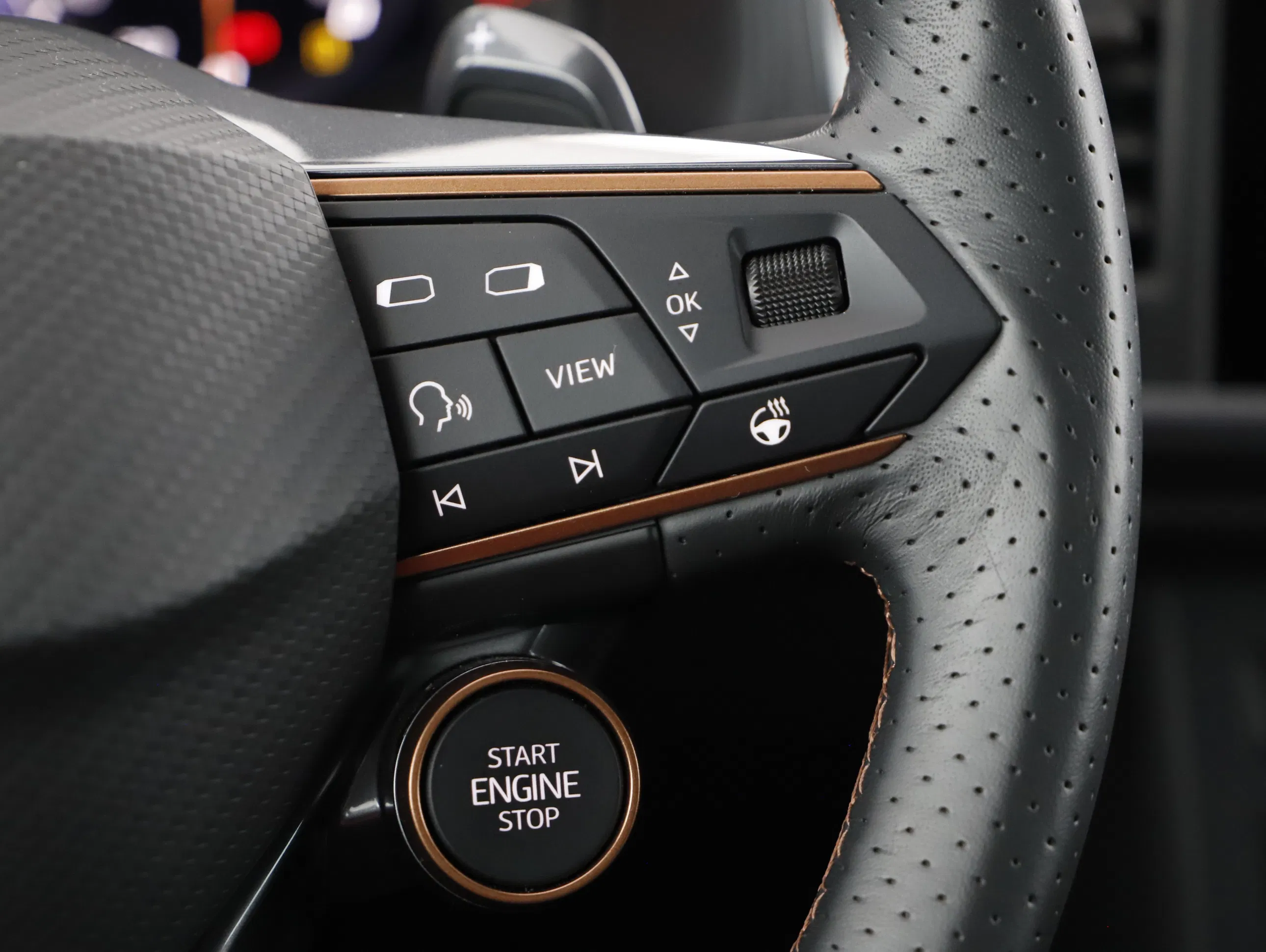 Cupra Ateca 2.0 TSI 4Drive | Bild 13 von 23