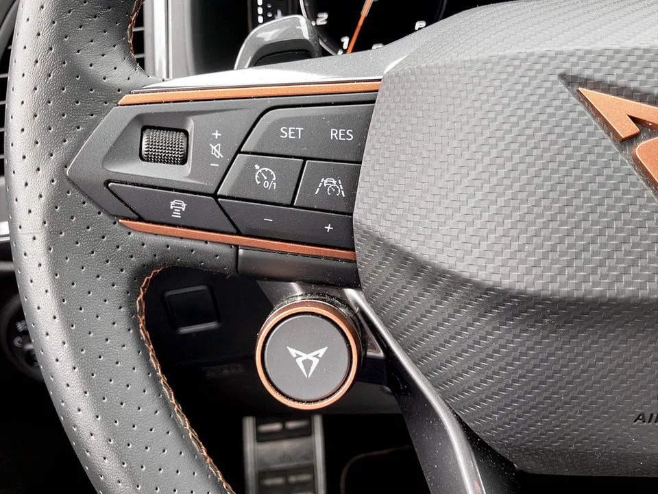 Cupra Ateca 2.0 TSI 4Drive | Bild 19 von 25