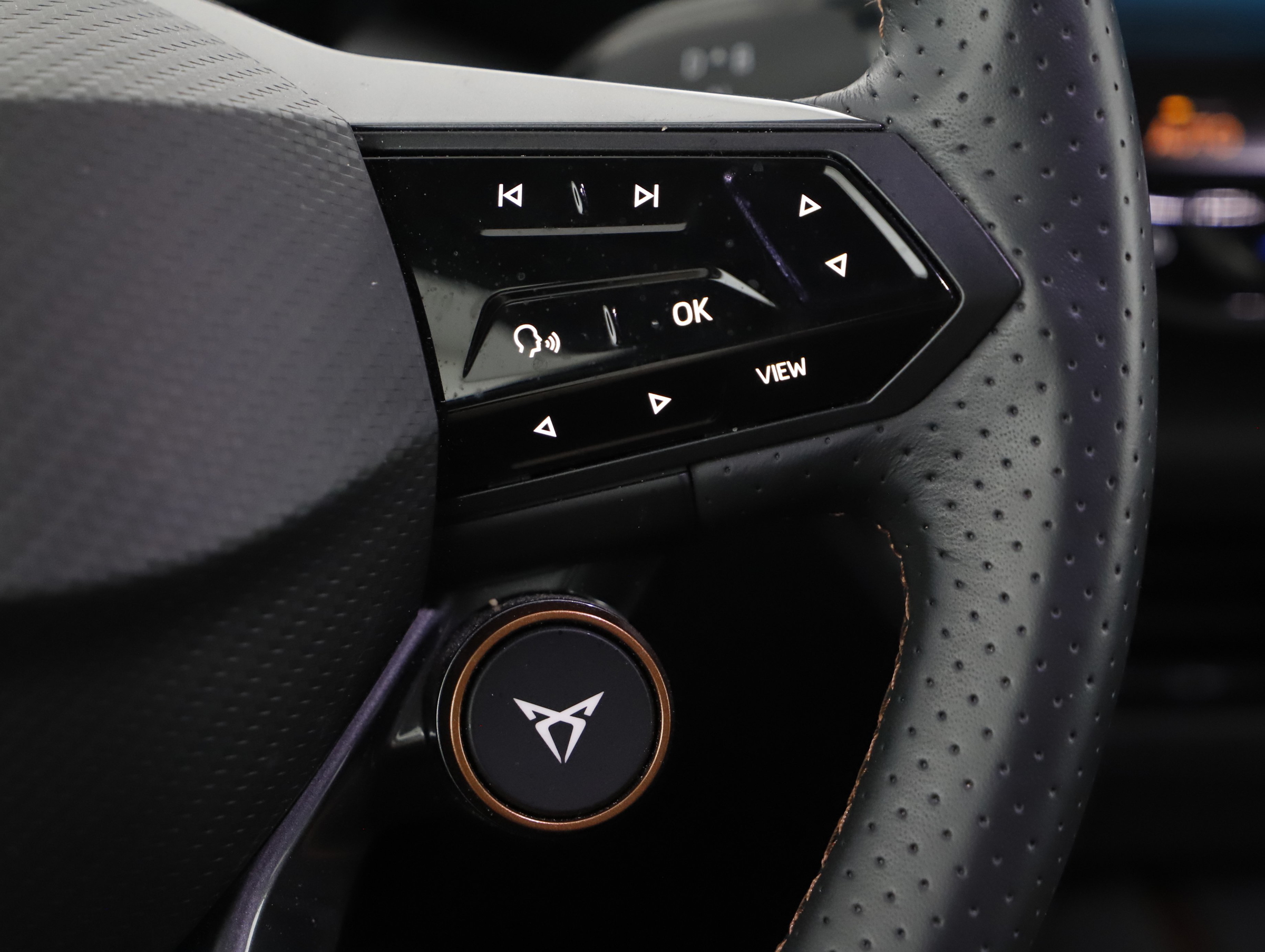 Cupra Born 170 W | Bild 14 von 20