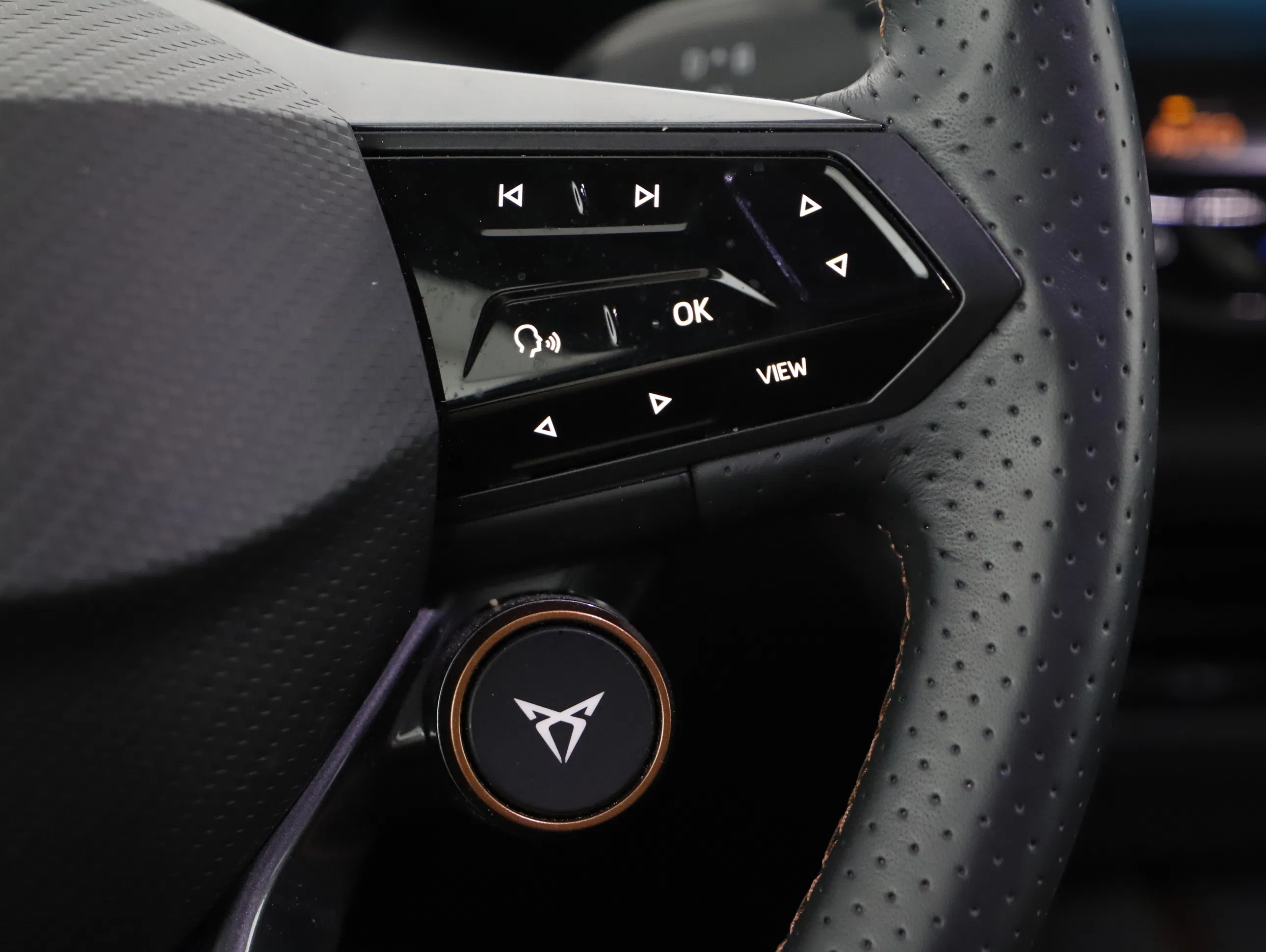 Cupra Born 170 W | Bild 14 von 20