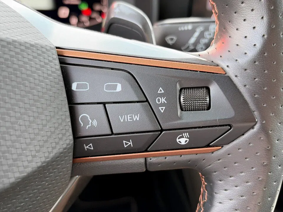 Cupra Formentor 2.0TDI 4Drive | Bild 20 von 23