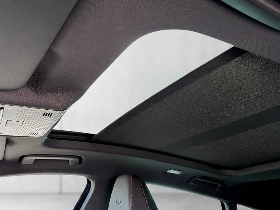 Cupra Formentor 2.0TDI 4Drive | Bild 9 von 23