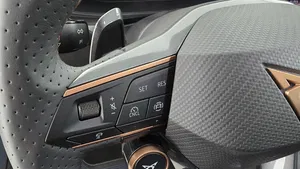 Cupra Formentor 1.5 eTSI W | Thumbnail 16 von 23