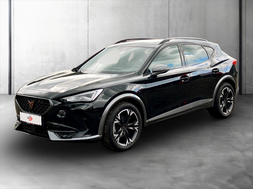 Bild eines Cupra Formentor 2.0 TDI 4Drive