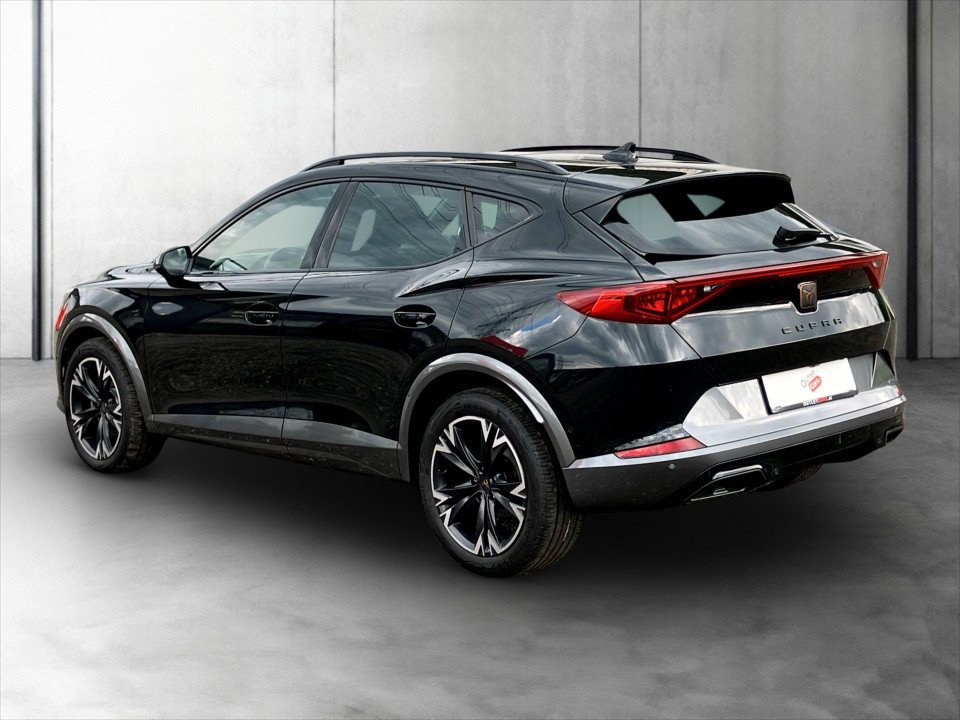 Cupra Formentor 2.0 TDI 4Drive | Bild 4 von 25